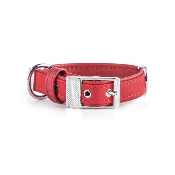 BILBAO LEATHER COLLAR 37-50 CM