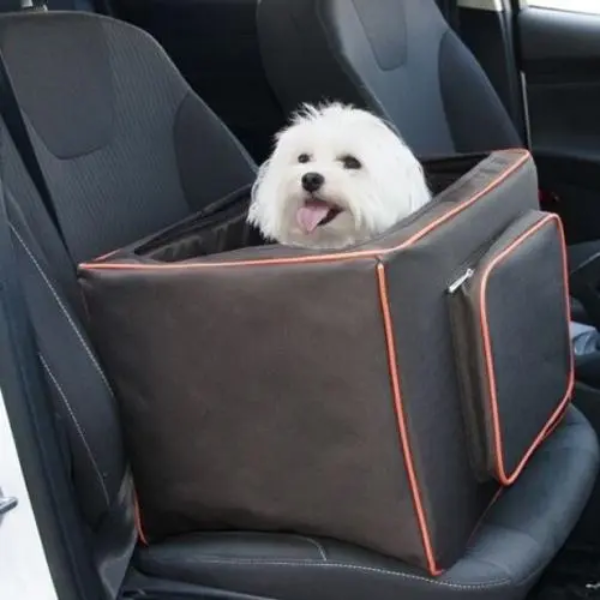 WALKY PETDRIVEBOX PLUS