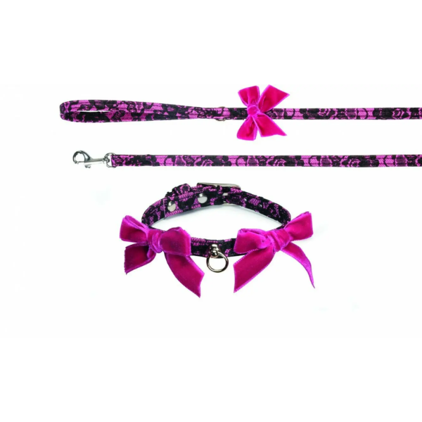 COLLAR + LEAD W/BOWS 12X24 + 12X110