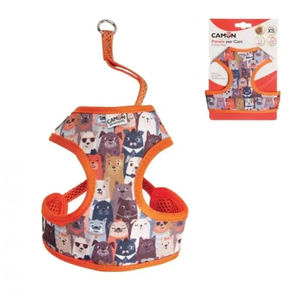 FUNNY DOGS HARNESS AND LEAD M