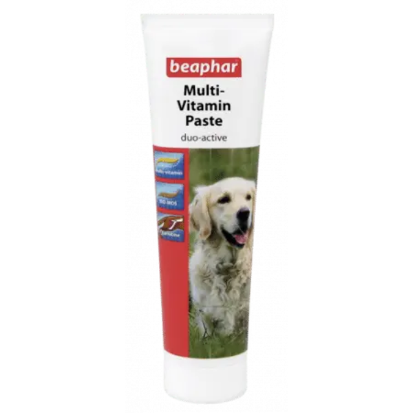 DUO-ACTIVE PASTE DOG