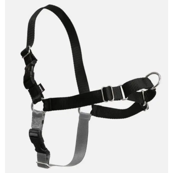 EASYWALK DOG HARNESS SMALL/MEDIUM