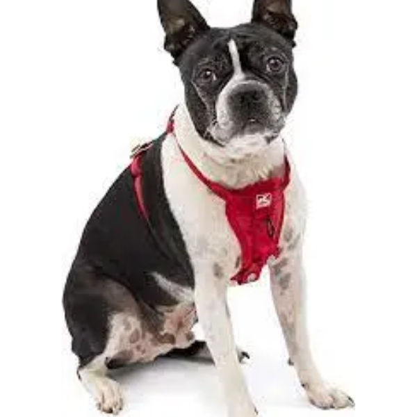 ENHANCED STRENGTH TRU FIT CAR HARNESS M