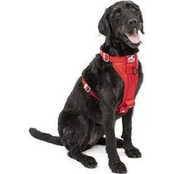 ENHANCED STRENGTH TRU FIT CAR HARNESS XL