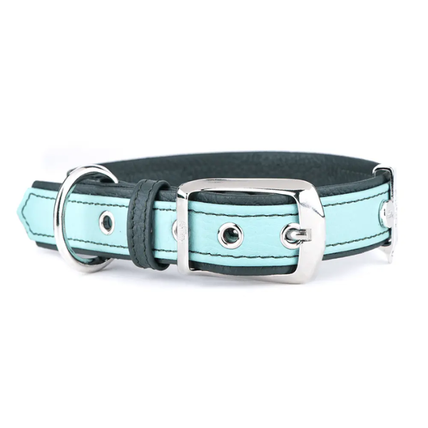 FIRENZE LEATHER 42-55CM COLLAR