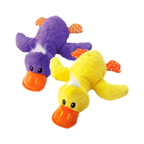 KONG COMFORT JUMBO XL  MIXED COLOURS