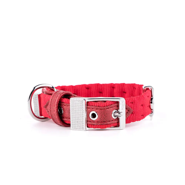 MILANO 30-40 NYLON COLLAR