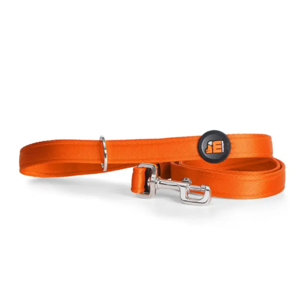 TAPE LEASH ORANGE NYLON MM 2.2 CM 110