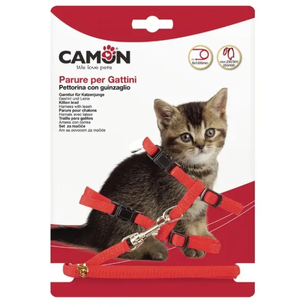 KITTEN LEAD SET