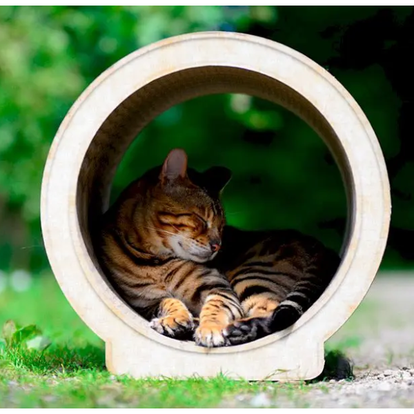 LE ROND ASIA OLIVE CRANE LIGHT BEIGE