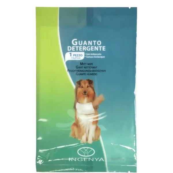 IC100 CHLORHEXIDINE MITT WIPES X 1PC