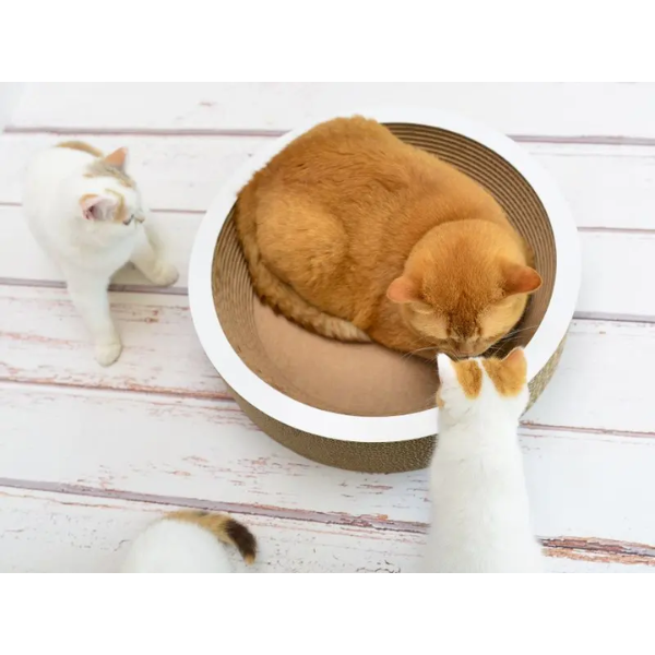 LA COUPE FLOWERS ON LILAC