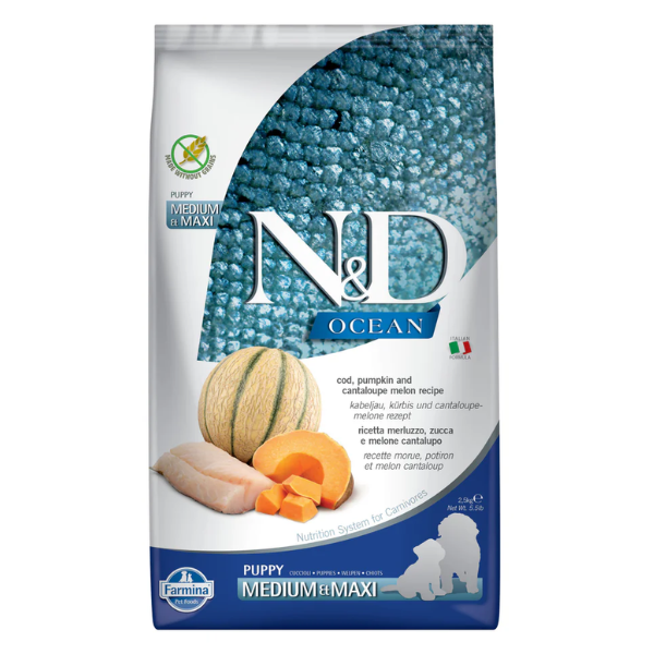 N&D Ocean Puppy Medium/Maxi Cod/Pumpkin & Cantaloupe