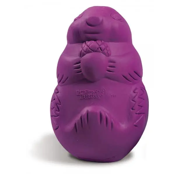 BUSY BUDDY SQUIRREL DUDE MEDIUM