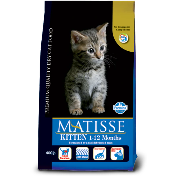 Matisse Kitten