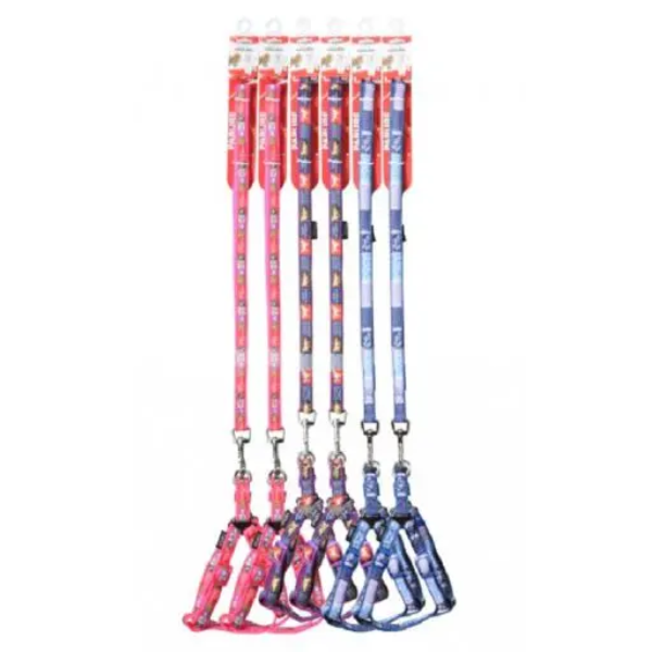 HARNESS AND LEAD ASSORTED A