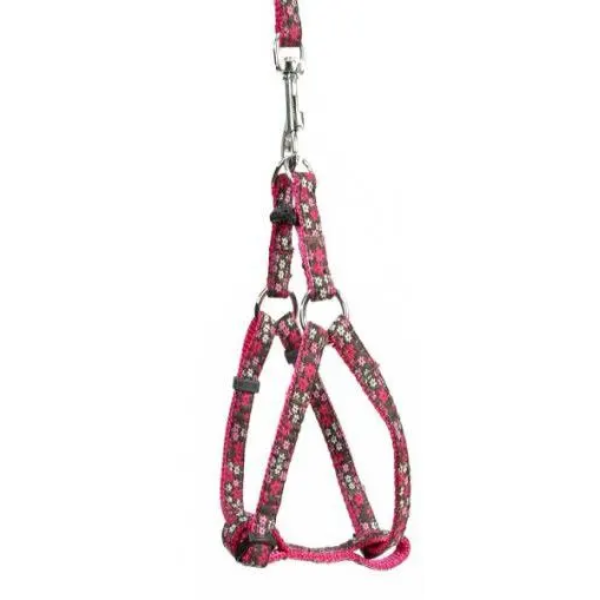HARNESS AND LEASH FLOWER