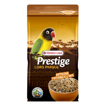 Verselelaga African Parakeet  Mix