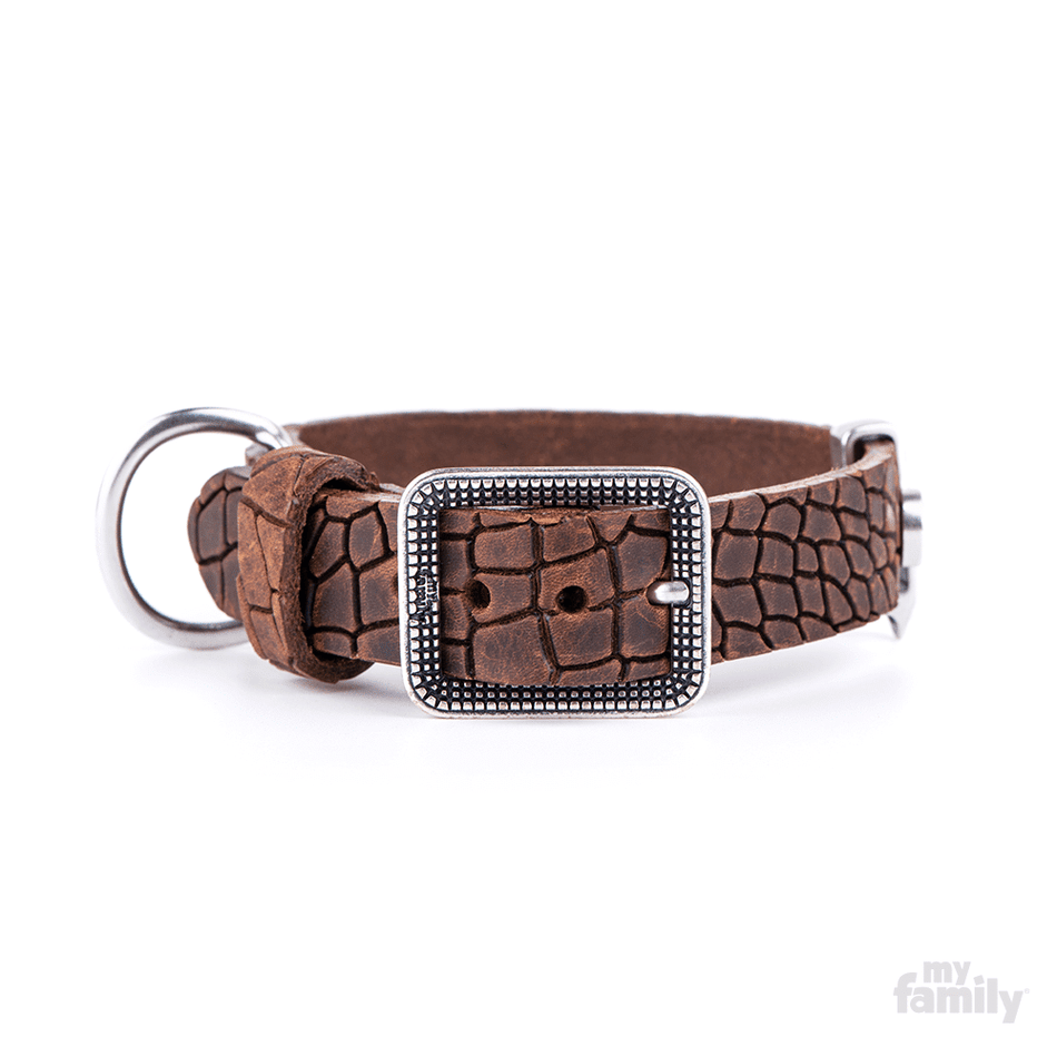 TUCSON LEATHER COLLAR 37-50