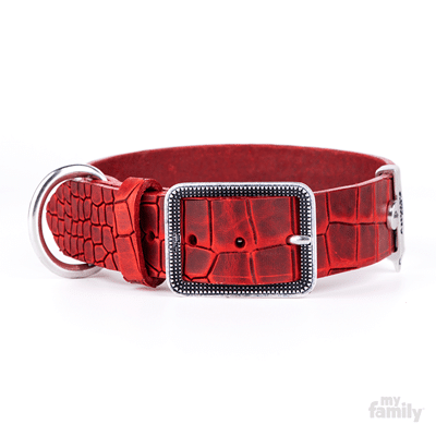 TUCSON LEATHER COLLAR 49-65CM