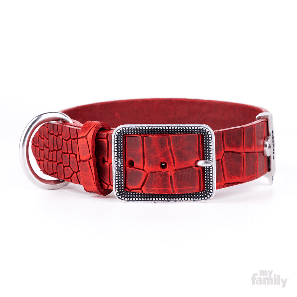 TUCSON LEATHER COLLAR 54-70CM
