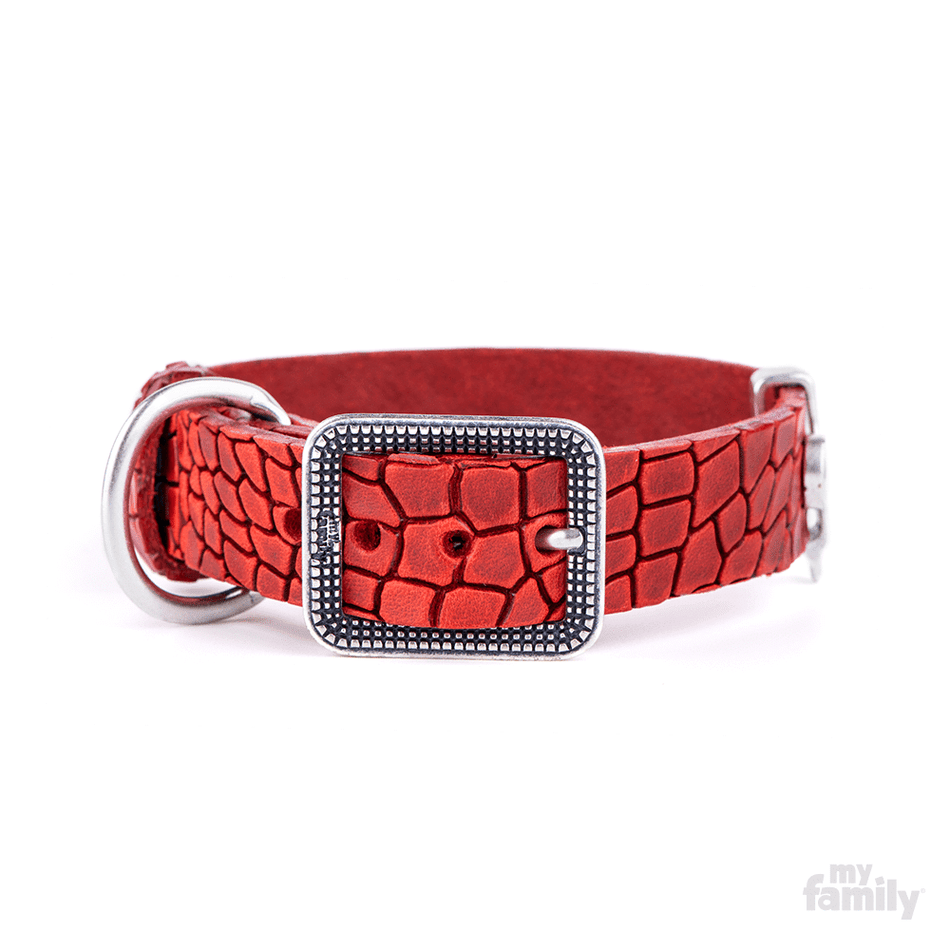 TUCSON LEATHER COLLAR 27-35CM