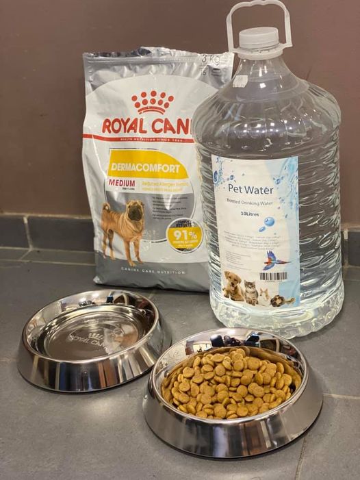 PET WATER 10LT