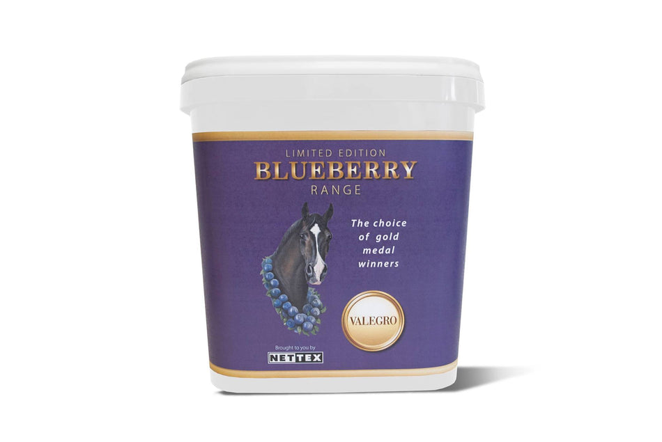 NETTEX BLUEBERRY RANGE MULTIPACK