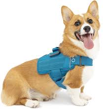 RSG TOWNIE HARNESS S