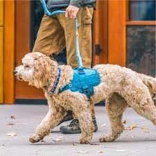 RSG TOWNIE HARNESS M