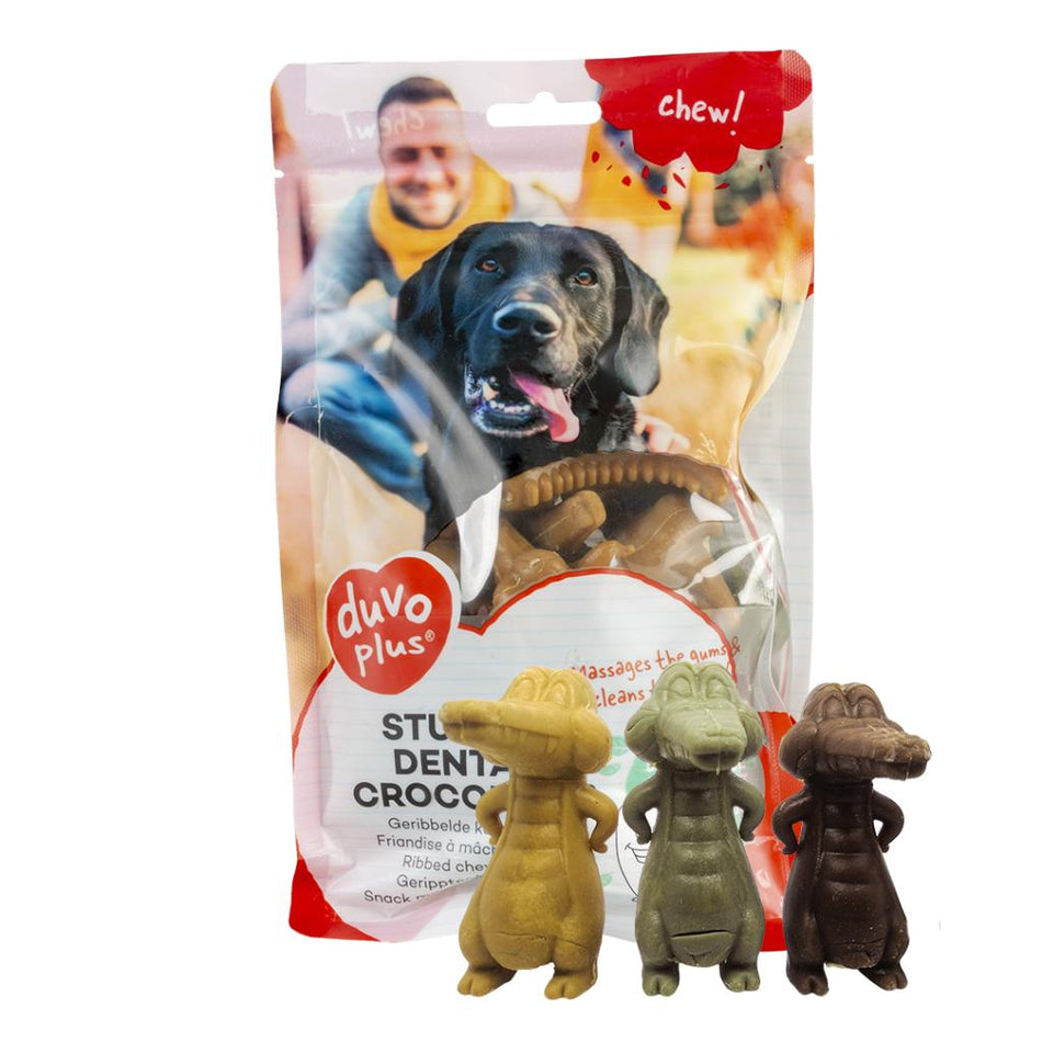 CHEW! STUFFED DENTAL CROCODILES 14PCS