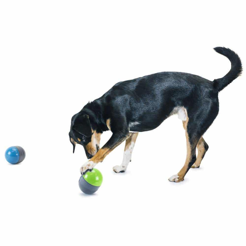 PETSAFE RICOCHET DOG TOY