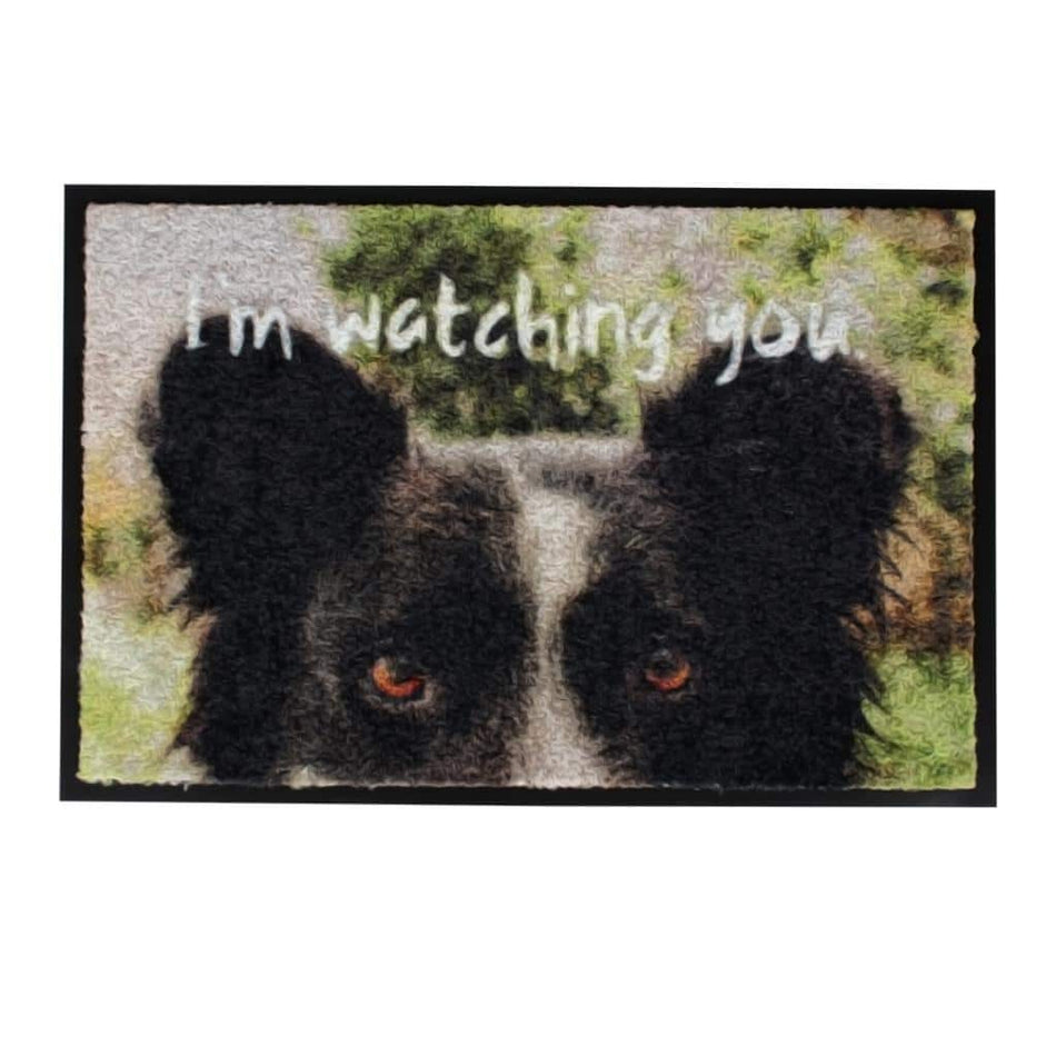 PET FLOOR MAT INDOOR I'M WATCHING YOU