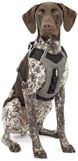 JOURNEY AIR HARNESS L