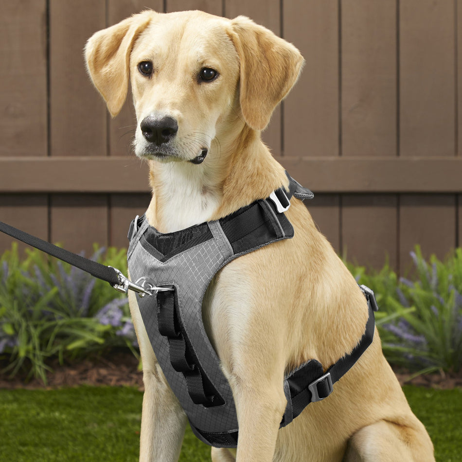 JOURNEY AIR HARNESS XL