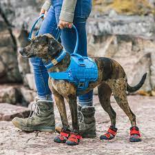 RSG TOWNIE HARNESS L