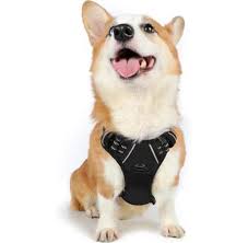 JOURNEY AIR HARNESS S