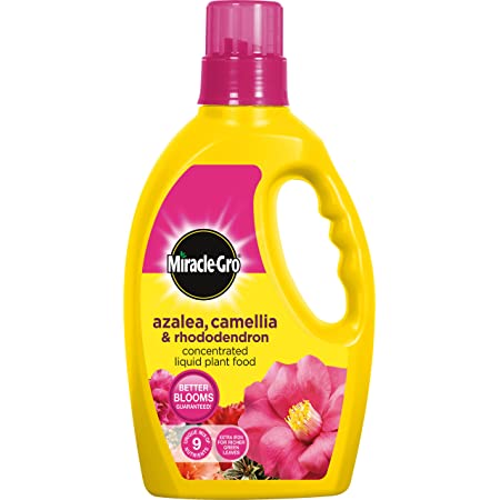 MIRACLE-GRO AZALEA, CAMELLIA & RHODODENDRON LIQUID PLANT FOOD