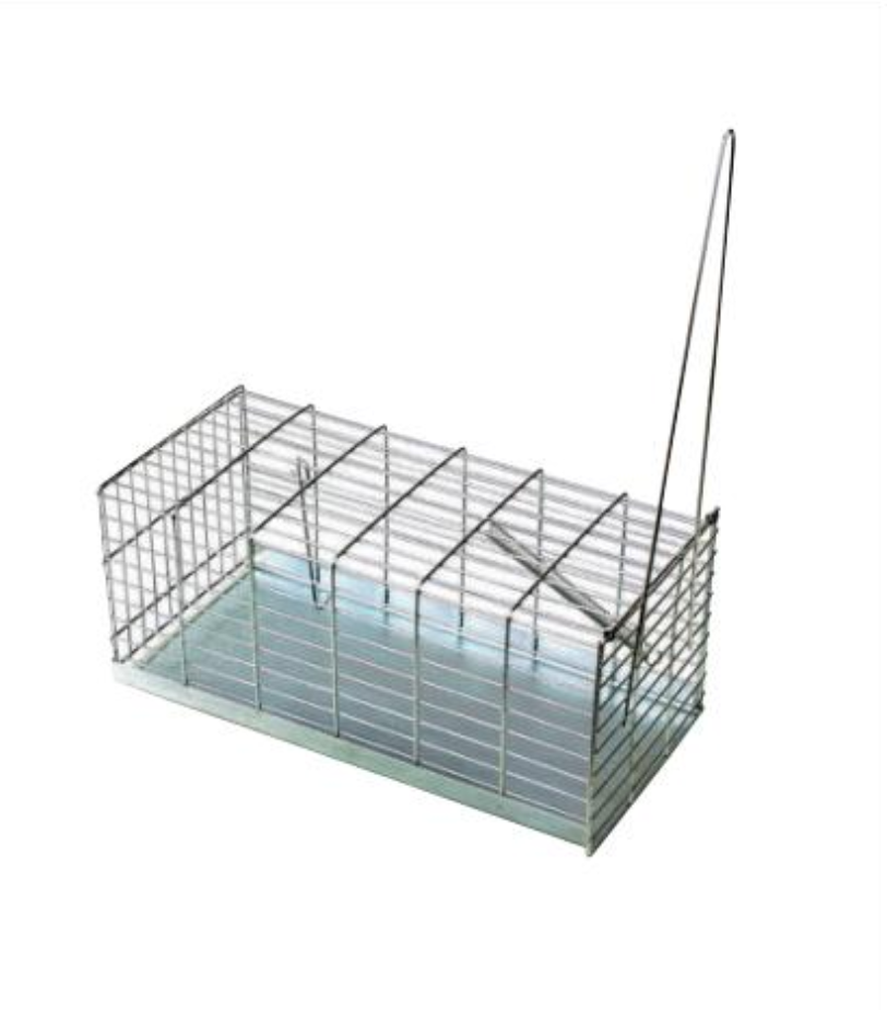 RAT TRAPS CAGE MEDIUM