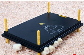 OLBA COMFORT HEATING PLATE 40X60CM 62W