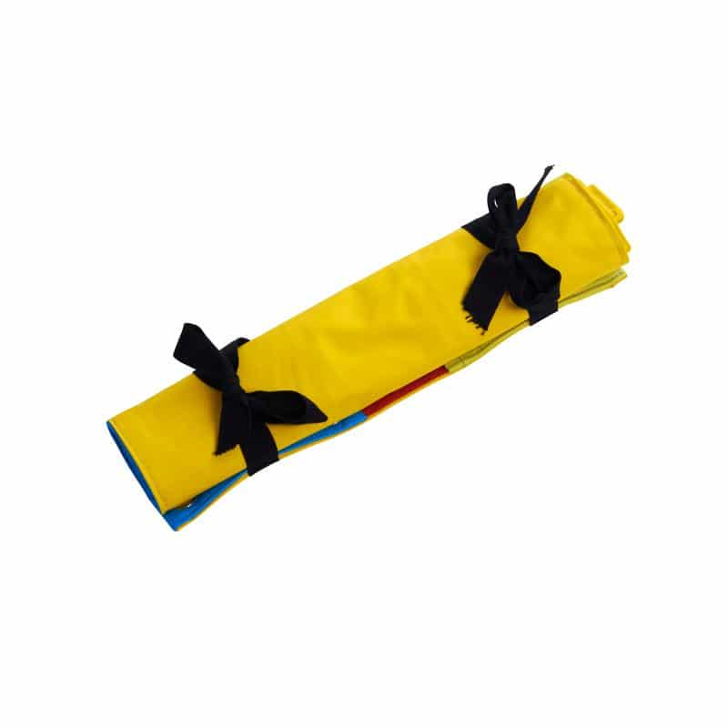 TASK FOR BUSTER ACTIVITY MAT, SPRINGROLL