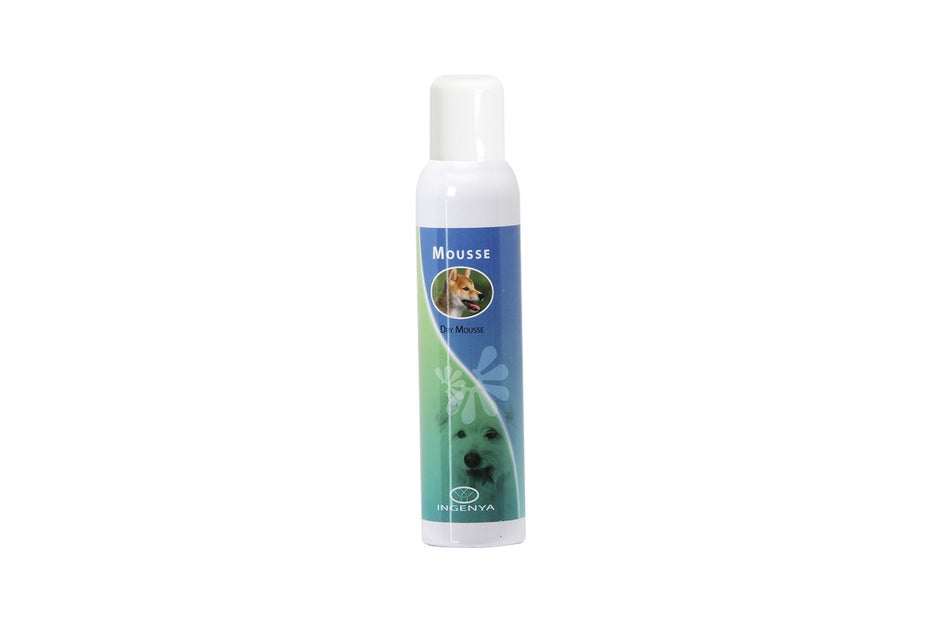 IC016 DRY SHAMPOO DRY MOUSSE 250ML
