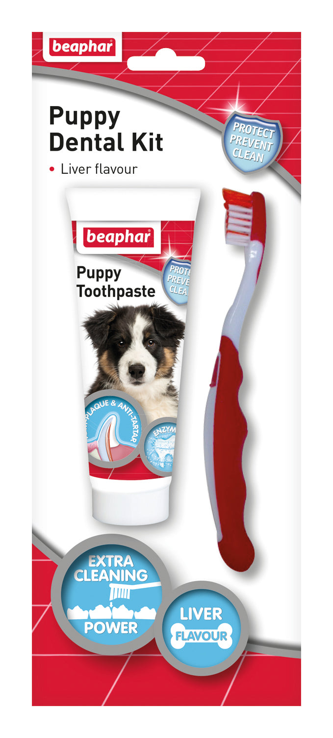 BEAPHAR PUPPY DENTAL KIT