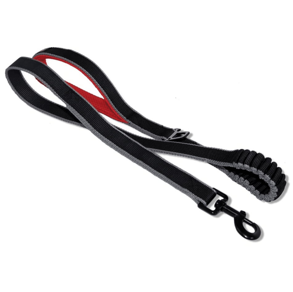 SPRINGBACK LITE LEASH BLACK/SILVER 30INC