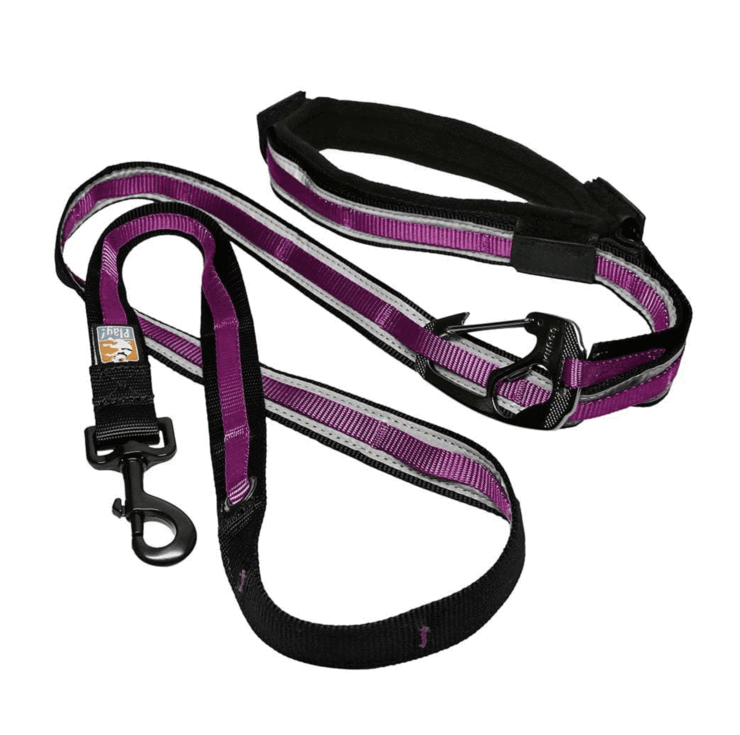QUANTUM LEASH REFLECT AND PROTECT