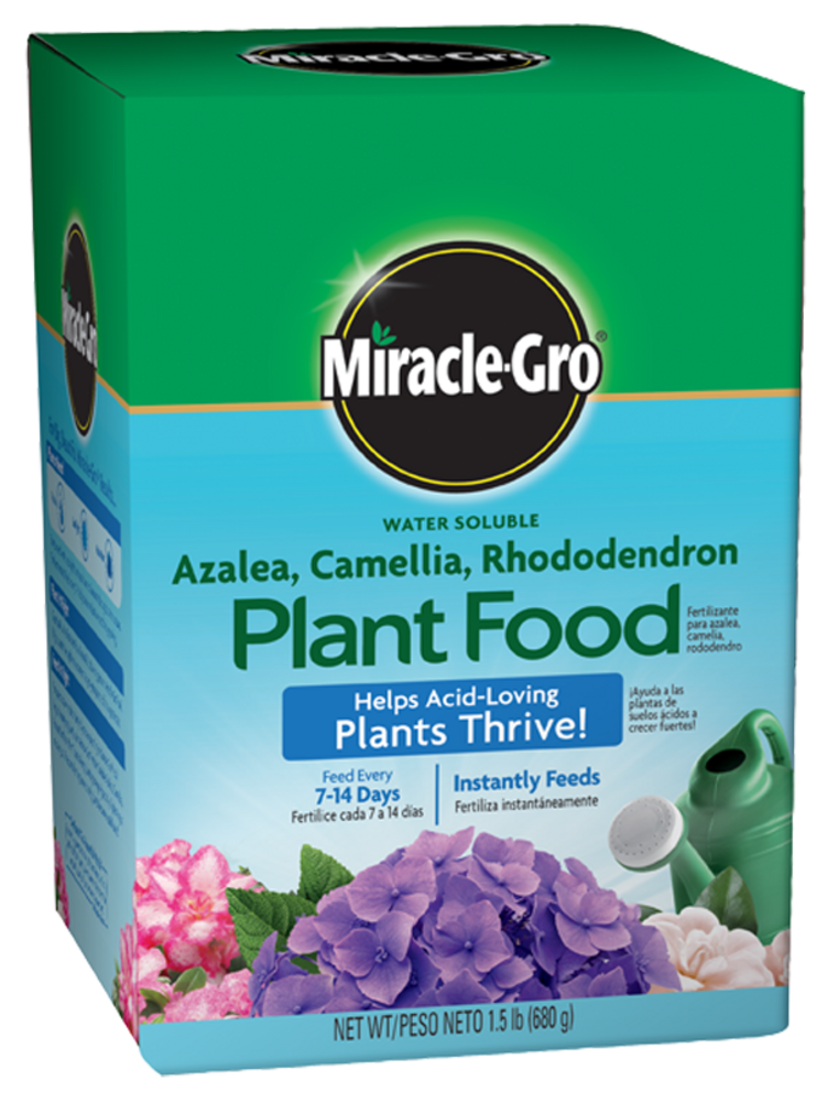 MIRACLE-GRO AZALEA CAMELLIA & RHODODENDRON PLANT FOOD