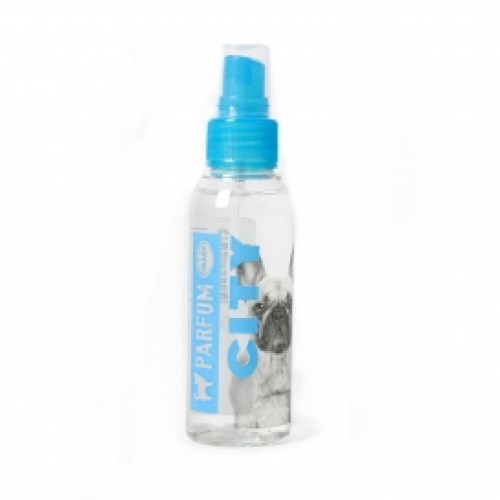 PARFUM CITY 100ML