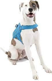 RSG TOWNIE HARNESS XL