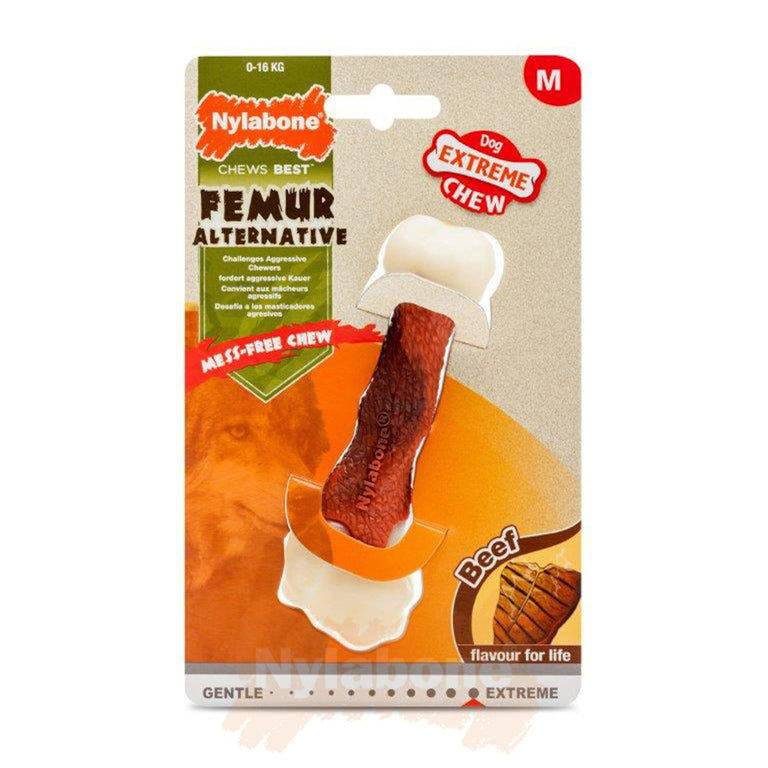 NYLABONE EC FEMUR BEEF MEDIUM