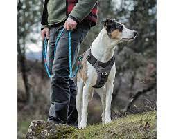JOURNEY AIR HARNESS XS